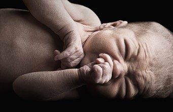 Studio portrait of newborn (0-1 months). Photo : Justin Paget