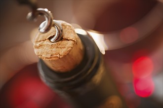 Close up of corkscrew in cork.
