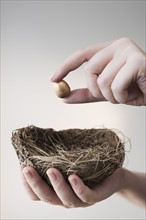Studio shot of hand putting small gold egg into nest.