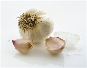 Studio shot of garlic.