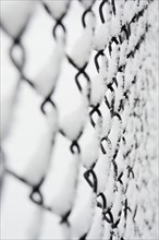 USA, New York State, Brooklyn, Williamsburg, snow covered chainlink fence. Photo : Jamie Grill