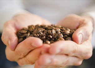 Hands holding coffee beans. Photo : Jamie Grill Photography