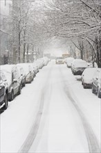 USA, New York City, snowy street with rows of parked cars. Photo: fotog