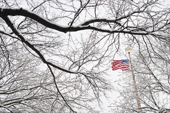 New York City, New York, American Flag and branch of bare tree.