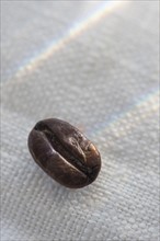 Studio shot of coffee bean on linen.