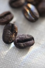 Studio shot of coffee beans on linen.