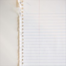 Studio shot of lined paper. Photo : Jamie Grill Photography