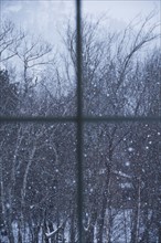 USA, Maine, Camden, window overlooking snowy forest. Photo: Daniel Grill