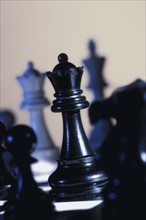 Queen chess piece on chess board. Photo : Antonio M. Rosario
