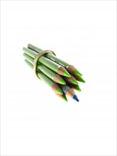 Studio shot of bunch of green pencils with one blue. Photo : David Arky