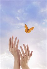Close up of woman's hands and flying butterfly against blue sky.