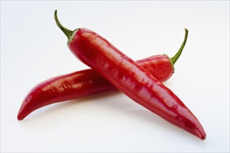Close up of red chili peppers on white background.