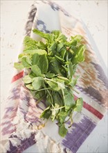 Studio shot of mint leaves. Photo : Jamie Grill Photography