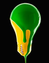 Studio shot of light bulb covered with yellow and green paint. Photo : Mike Kemp