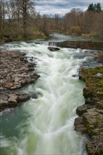 USA, Oregon, Linn County, Thomas Creek. Photo : Gary Weathers