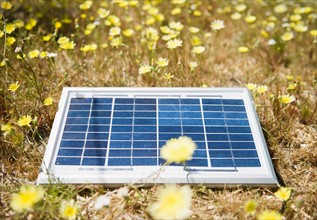 Solar panel lying on meadow with flowers. Photo : Jamie Grill Photography