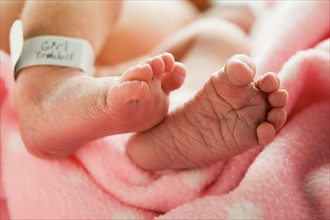 Close-up of feet of newborn girl (0-1months) . Photo : Mike Kemp