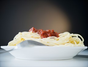 Spaghetti with tomato sauce, studio shot. Photo : Jamie Grill Photography