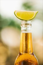 Close up of bottle of beer with lime slice on top.