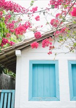 Brazil, Bahia, Trancoso, Bougainvillea blooming in front of house. Photo : Jamie Grill Photography
