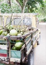 Brazil, Bahia, Trancoso, Fresh coconuts on back of pick-up truck. Photo : Jamie Grill Photography