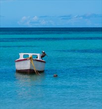 Aruba, Pelican perched on boat. Photo : Daniel Grill