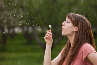 Young woman blowing Dandelion in orchard. Photo : Mike Kemp