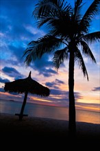 Aruba, silhouette of palm tree and palapa on beach at sunset. Photo : Daniel Grill