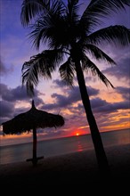 Aruba, silhouette of palm tree and palapa on beach at sunset. Photo : Daniel Grill