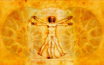 Vitruvian Man by Leonardo Da Vinci.