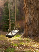 USA, Colorado, Empty swing hanging from tree. Photo : John Kelly