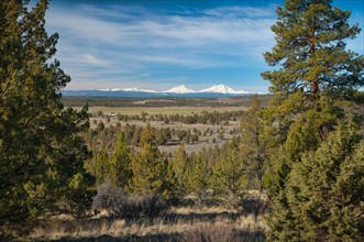 USA, Oregon, Deschutes County, Pines and snowy peaks. Photo : Gary Weathers