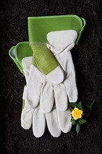 Studio shot of gardening gloves and flower on ground. Photo : Kristin Lee