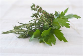 Fresh parsley, thyme and mint.