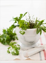 Fresh herbs with mortar and pestle.