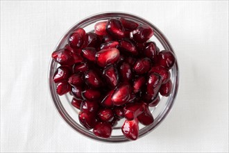 Studio shot of pomegranate (Punica granatum) seeds in bowl. Photo: Winslow Productions