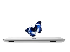 Studio shot of butterfly over digital tablet. Photo : David Arky