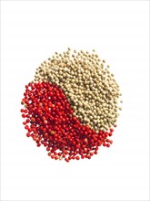 Studio shot of Red Pepper Corns and White Pepper Corns making Yin and Yang sign on white background