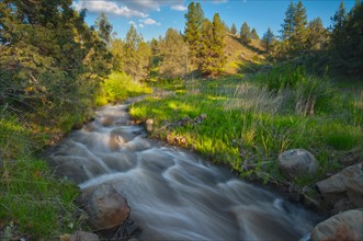 USA, Oregon, Kimberly, Scenic view of Rushing Creek. Photo: Gary J Weathers