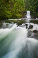 USA, Oregon, Silver Falls State Park, View of Upper North Falls. Photo: Gary J Weathers