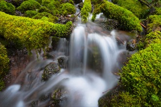USA, Oregon, Mount Jefferson Wilderness, Scenic waterfall. Photo : Gary J Weathers