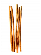Studio shot of cinnamon sticks. Photo : David Arky