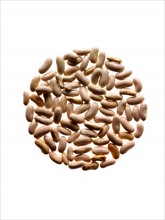 Studio shot of White Bean Seed on white background. Photo: David Arky