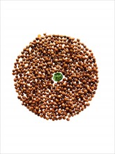 Studio shot of Cardamom Seeds and Pea Seed on white background. Photo: David Arky
