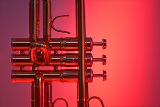 Close up of trumpet on red background. Photo: Daniel Grill