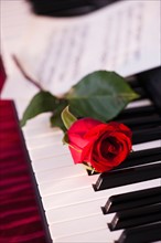 Close up of red rose lying on piano keys. Photo : Daniel Grill