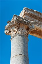 Turkey, Ephesus, Corinthian column.
