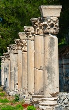 Turkey, Ephesus, Row of Corinthian columns.
