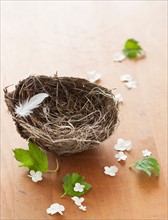 Feather and flowers with birds nest.