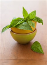 Fresh basil in bowl on table.